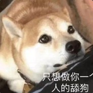 我可没时间狐闹