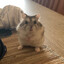 Ivanxo