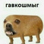 гавкошмыг
