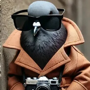 Шпиониро Голубин