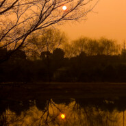 伯乐收礼，马得一匹