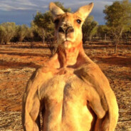 Dolor - steam id 76561199544226082