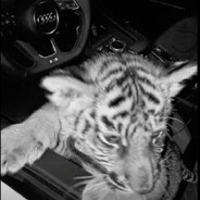 d1za - steam id 76561198444872565