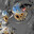 Xntriic avatar