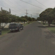 Dog Walking Service 0491 570 158