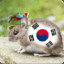 Korean Hamster