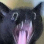 秋高气爽绯玛丽