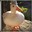 Ente mit Hut