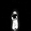 Mondlicht