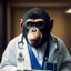 MonkeyDoctor