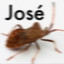 Josè