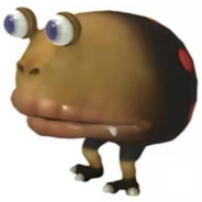 我的龟Toyota又圆