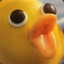 Sir Ducky McQuacks Esq. the 7th
