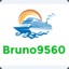 Bruno9560