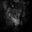 Kosovy!™#LoneWolf