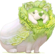 菜狗