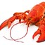 Unacceptable Lobster