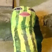 仙之巅，傲世间，有我柴儿便有天