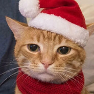 爱吃臭豆腐的猫 ᶻ 𝘇