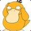 Psyduck !