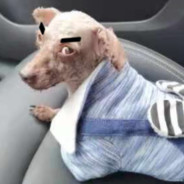 狂踩缝纫机冒火星子