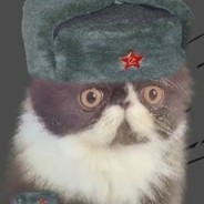 ♡♡♡Werdo♡♡♡