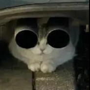 Коксоед