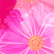 THUNDER_北海西岸