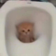 打两枪假装帮忙