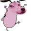Matixo