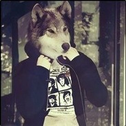 Wolf - steam id 76561197971338995