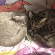 闲的蛋疼！！！！