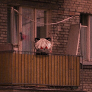 фальшивоминетчик - steam id 76561199851076648