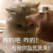 风情万种三姨太