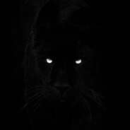 fuchs ⚡ Steam avatar