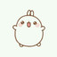 KAWAI_KATKA