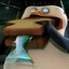 Skipper