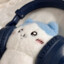 蘑菇