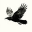 crow