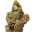 Skywalker OG
