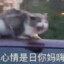 狡猾的狐