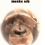 monke orb