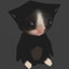 котик