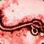 Ebola