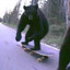 The red bear