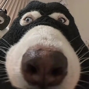 她说人多以为有我