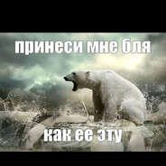 Avatar of 240km/h PEEK