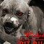 Pitbull