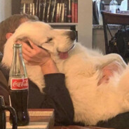 今天怎么不下雨