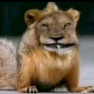 Zamir Bezgeev - steam id 76561198967890591